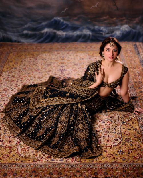 Tamannaah Bhatia wears a Karan Torani Designed Outfit Photoshoot, July 2024 4