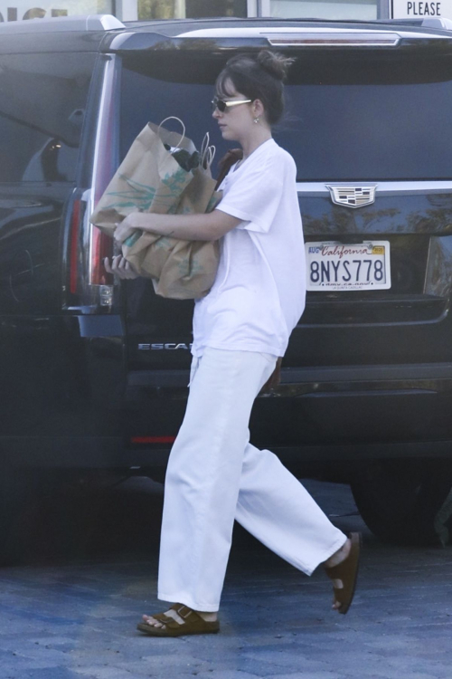 Dakota Johnson Food Shopping Malibu August 2024 7