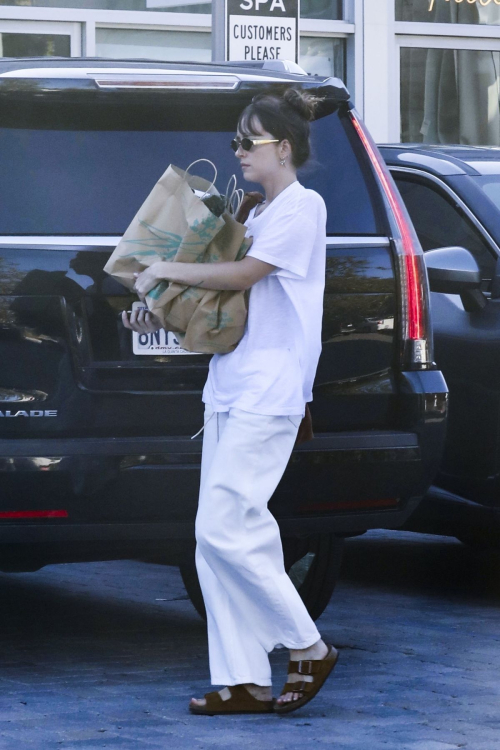 Dakota Johnson Food Shopping Malibu August 2024 8