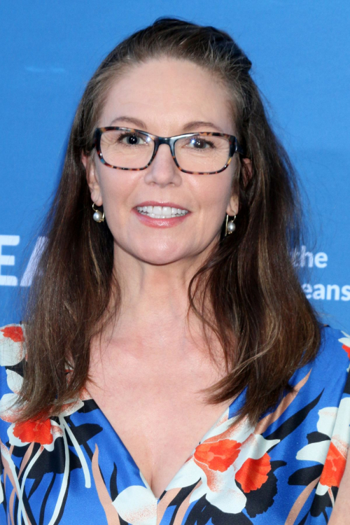 Diane Lane at 17th Annual SeaChange Summer Party in Laguna Beach August 2024 6