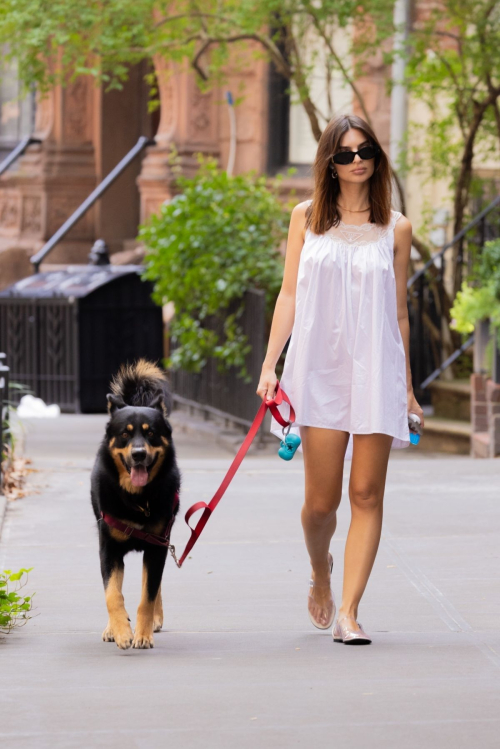 Emily Ratajkowski Walking Dog New York August 2024 2