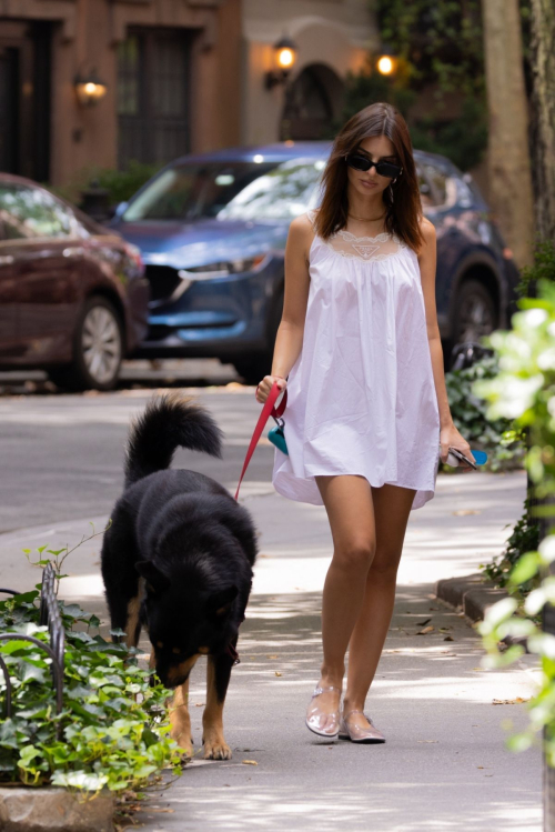 Emily Ratajkowski Walking Dog New York August 2024 4