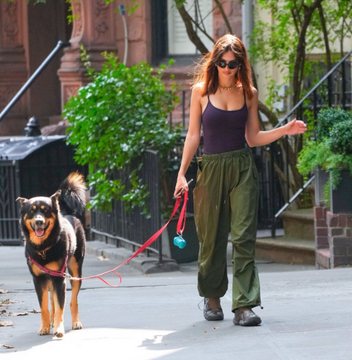 Emily Ratajkowski Walks Dog New York August 2024 2