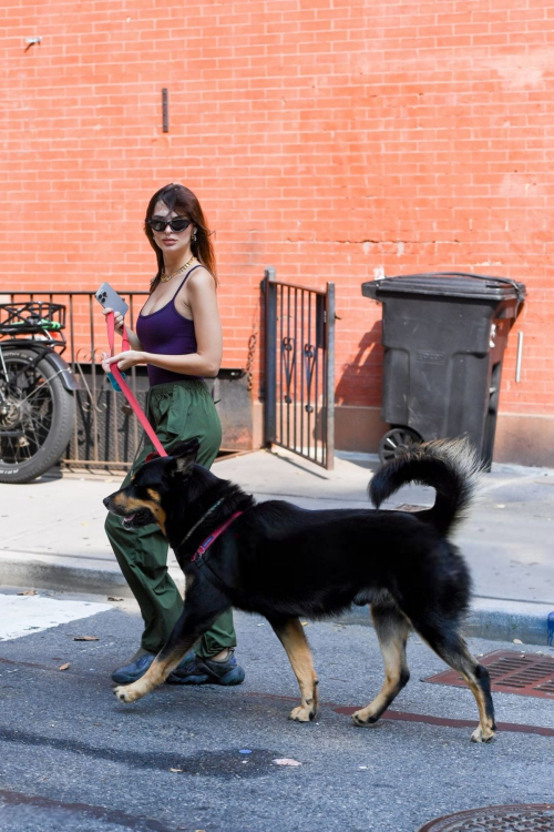 Emily Ratajkowski Walks Dog New York August 2024 7