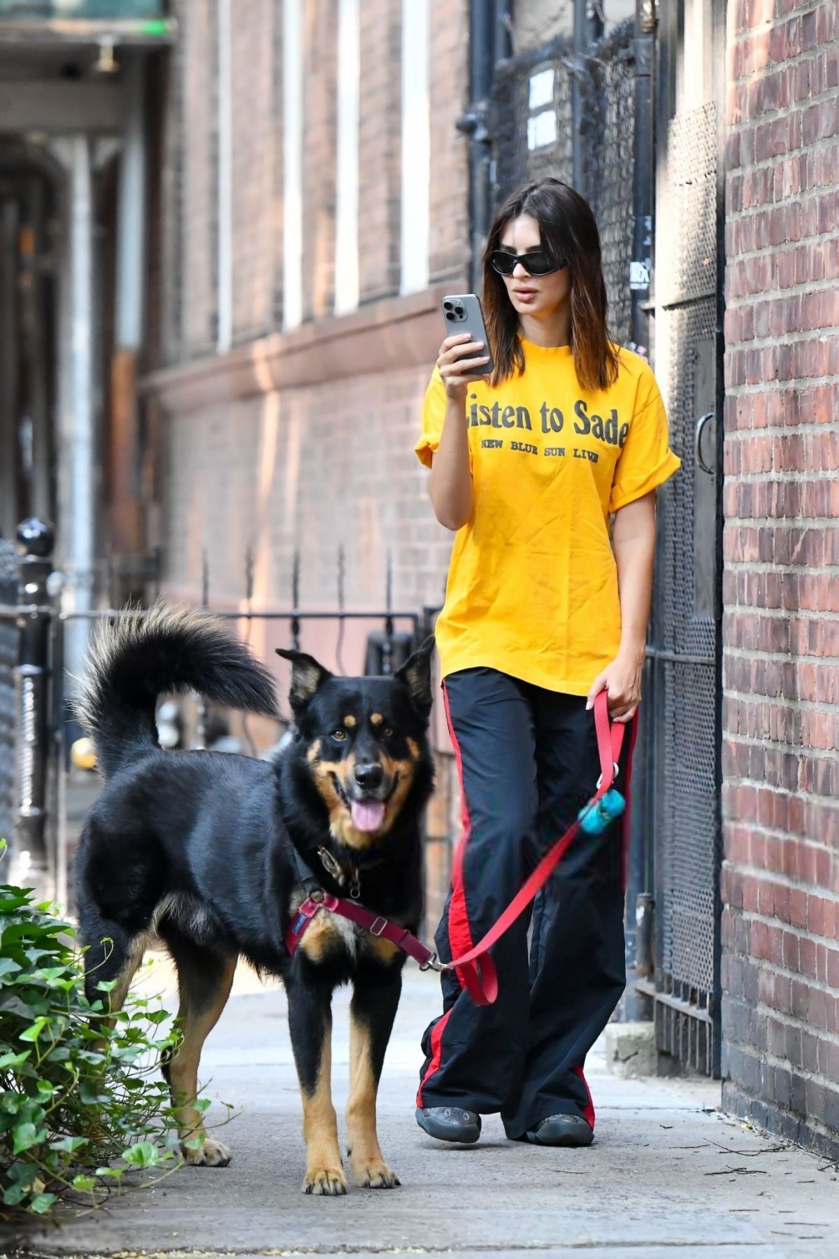 Emily Ratajkowski Walks Her Dog in New York August 2024