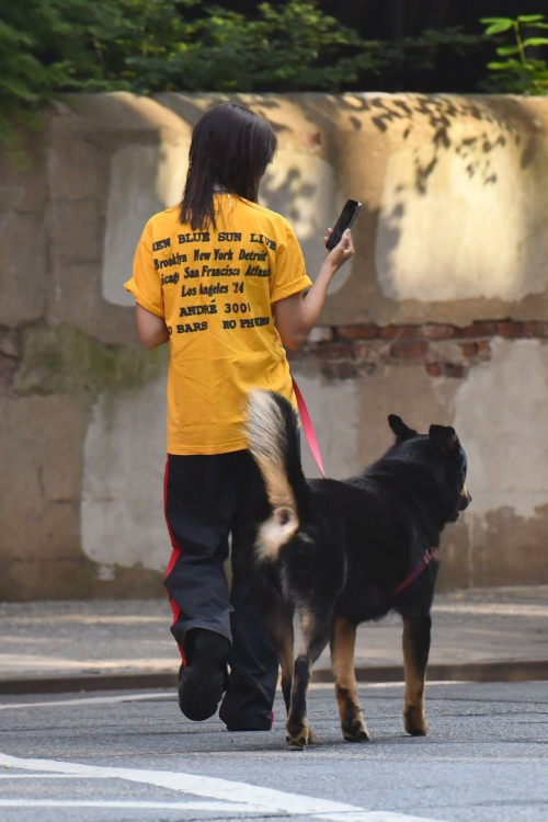 Emily Ratajkowski Walks Her Dog in New York August 2024 4