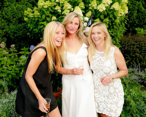 Reese Witherspoon, Cameron Diaz, and Gwyneth Paltrow at Avaline Wine Dinner