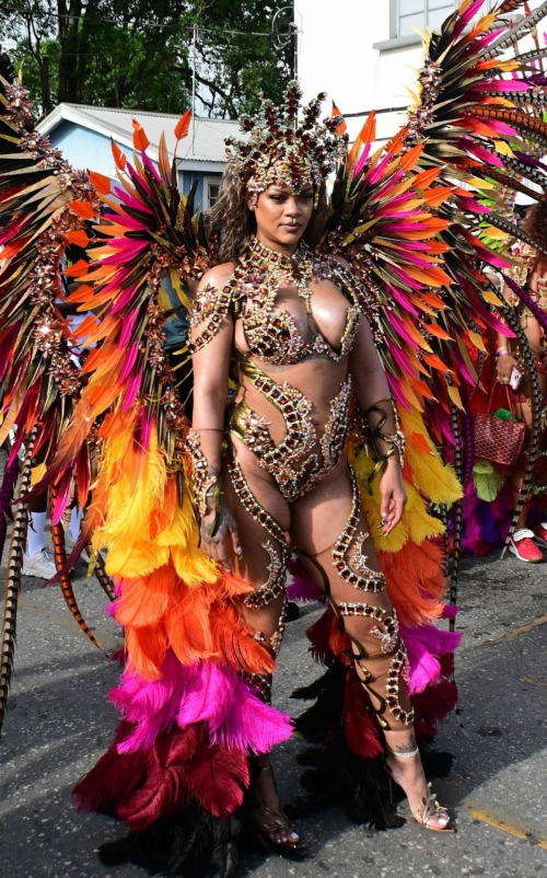 Rihanna at Barbados Crop Over Carnival 5