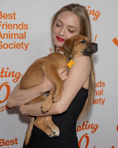 Amanda Seyfried at Best Friends Animal Society’s Benefit, New York, September 2024 2