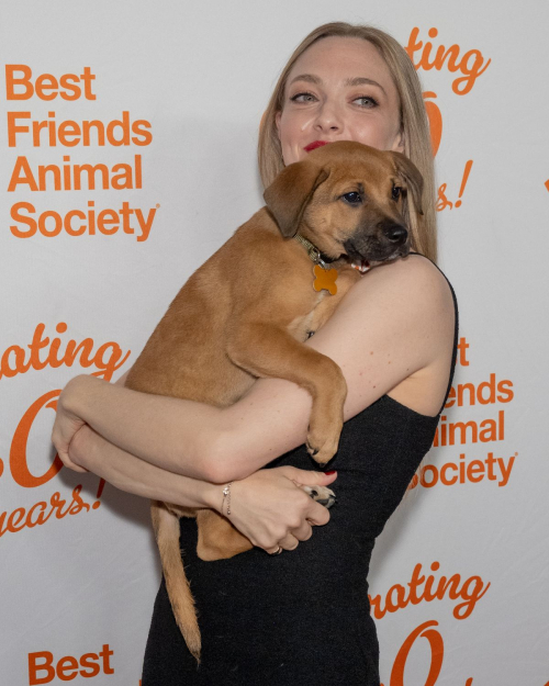 Amanda Seyfried at Best Friends Animal Society’s Benefit, New York, September 2024 4