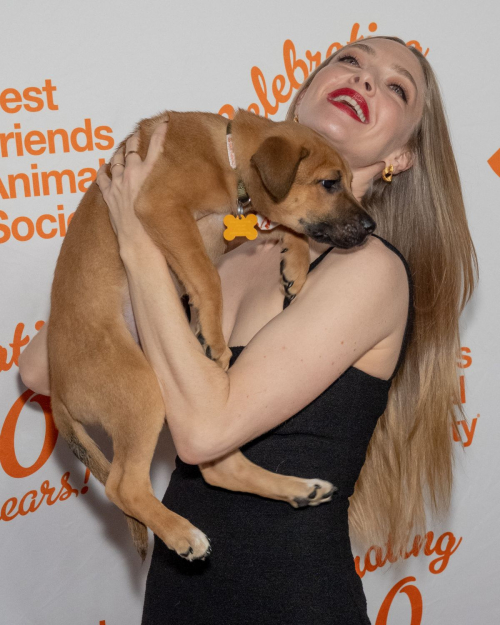 Amanda Seyfried at Best Friends Animal Society’s Benefit, New York, September 2024 5