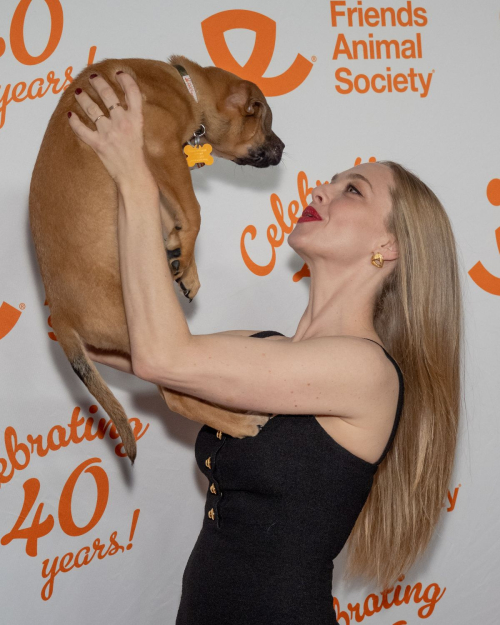 Amanda Seyfried at Best Friends Animal Society’s Benefit, New York, September 2024 6