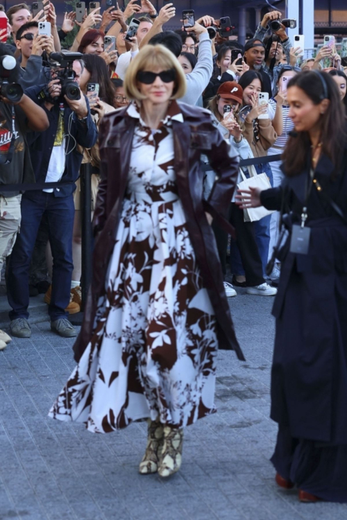 Anna Wintour at Tommy Hilfiger Fashion Show in New York 2