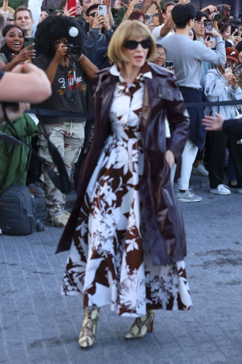 Anna Wintour at Tommy Hilfiger Fashion Show in New York 6