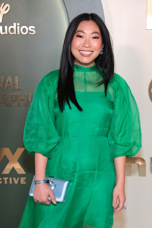 Awkwafina at Walt Disney Company Emmy Party in Los Angeles 5