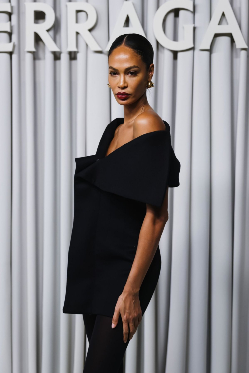 Joan Smalls at Ferragamo Show at Milan Fashion Week 3