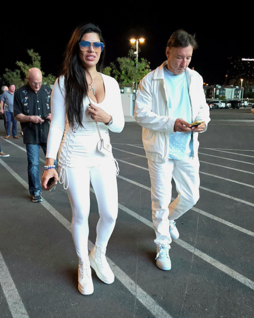 Suelyn Medeiros Arrives for NFL Game in Las Vegas 5