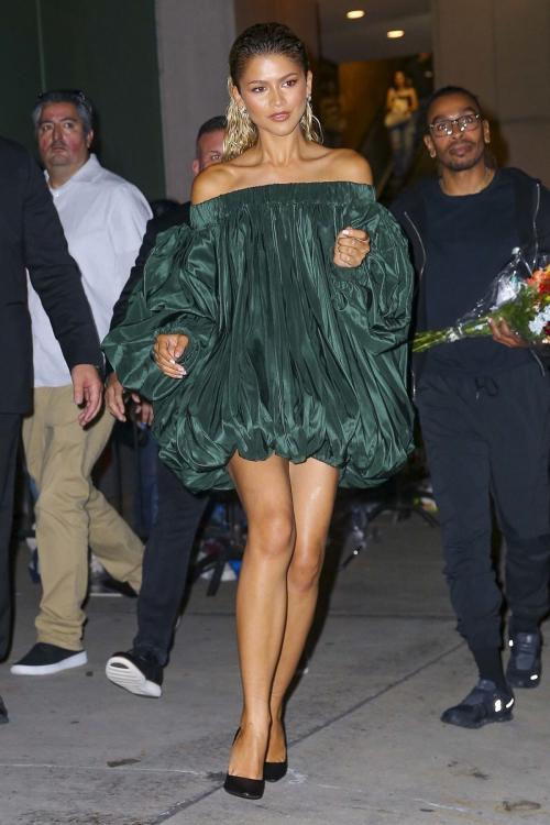 Zendaya Leaves Dune Special Screening in New York