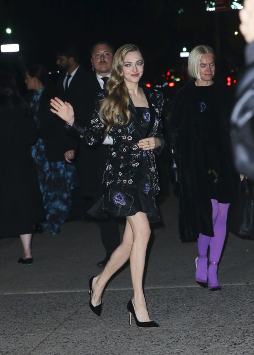 Amanda Seyfried at Giorgio Armani Spring 2025 Fashion Show October 2024 4