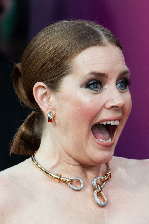 Amy Adams at Nightbitch Premiere at BFI London Film Festival, October 2024 2