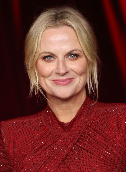 Amy Poehler at 4th Annual Academy Museum Gala, October 2024 1