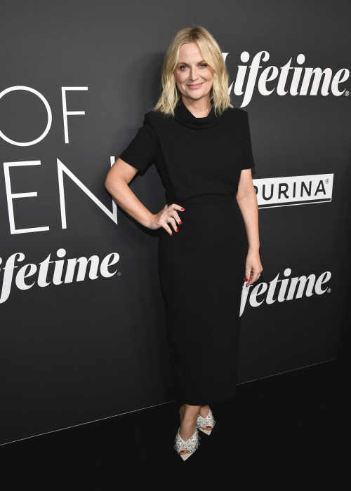 Amy Poehler at Variety's 2024 Power of Women, October 2024