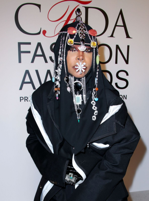 Erykah Badu at CFDA Fashion Awards in New York, October 2024 3