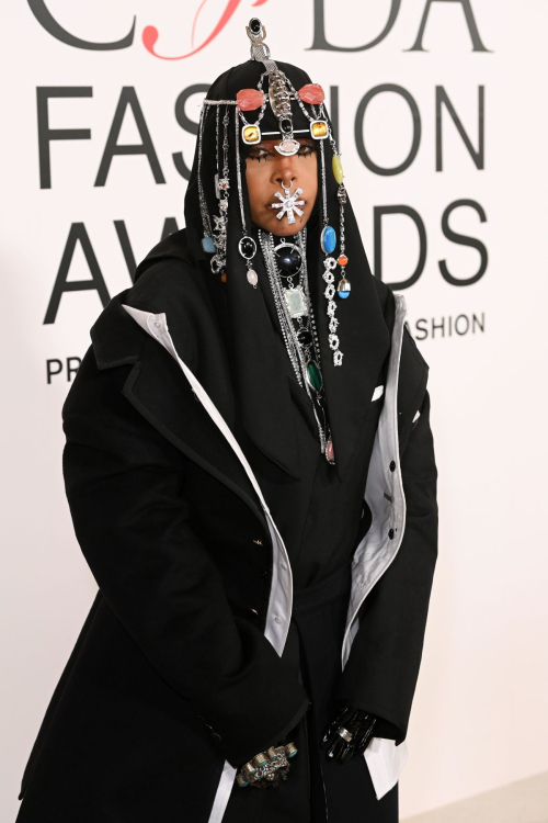 Erykah Badu at CFDA Fashion Awards in New York, October 2024 4