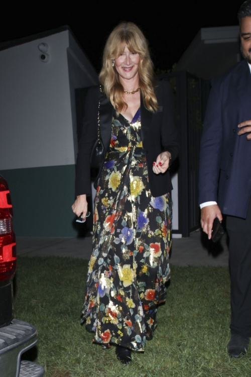 Laura Dern Leaves Chez Mia After Dinner in West Hollywood, October 2024 1