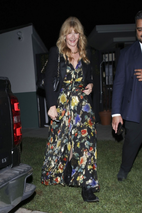 Laura Dern Leaves Chez Mia After Dinner in West Hollywood, October 2024 5