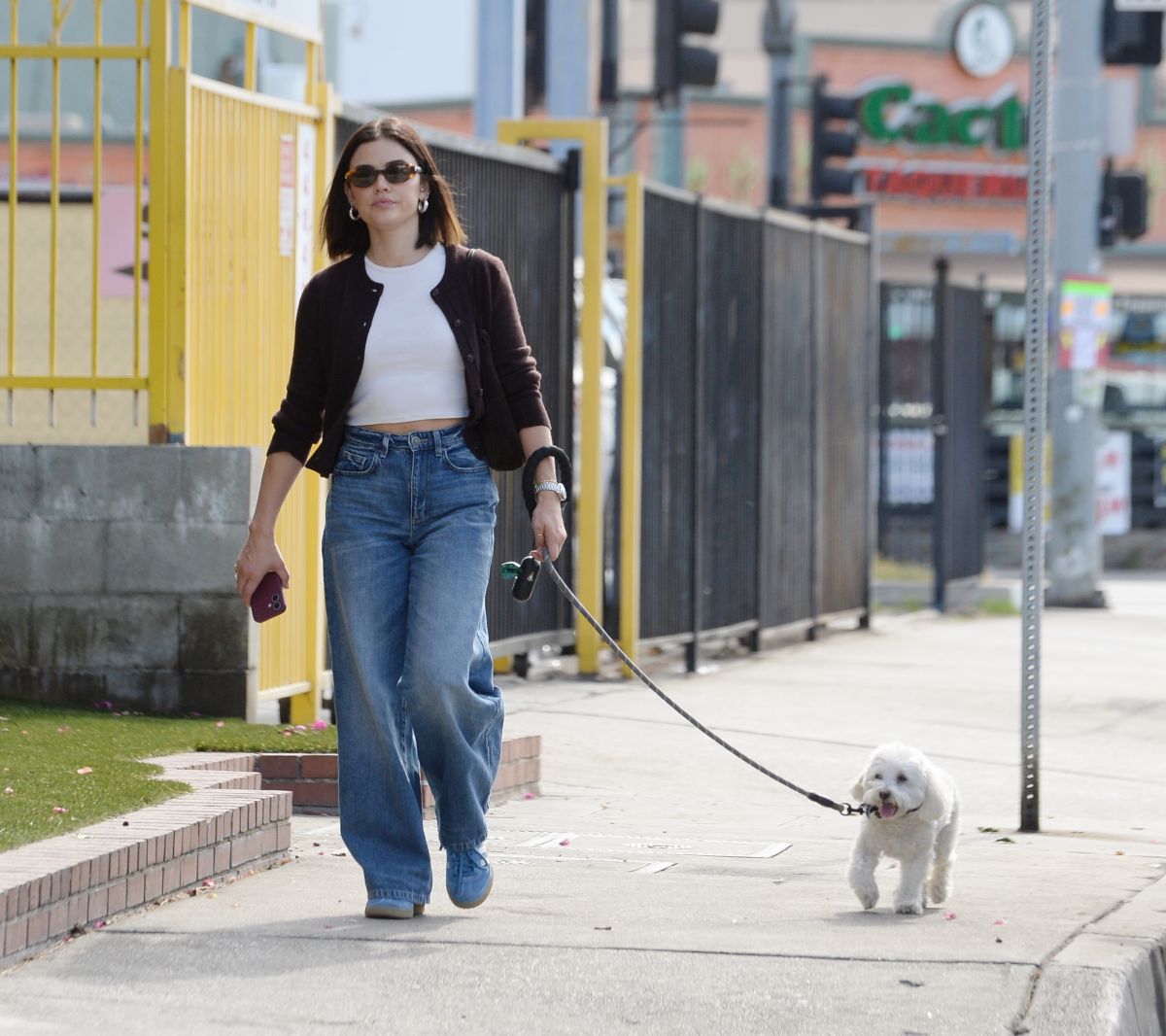 Lucy Hale Strolls with Her Dog in Los Angeles, October 2024