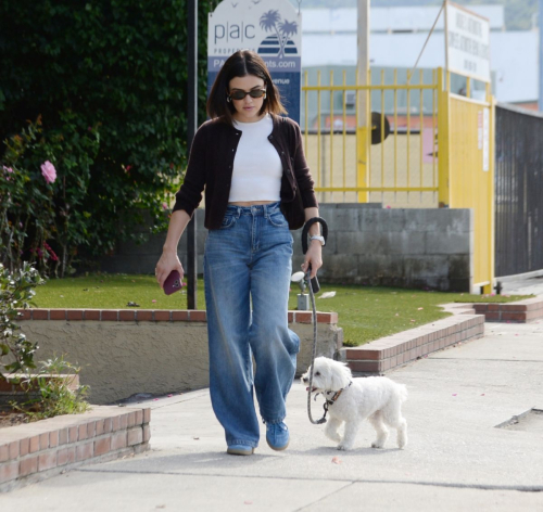 Lucy Hale Strolls with Her Dog in Los Angeles, October 2024 1