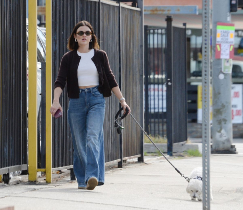 Lucy Hale Strolls with Her Dog in Los Angeles, October 2024 3