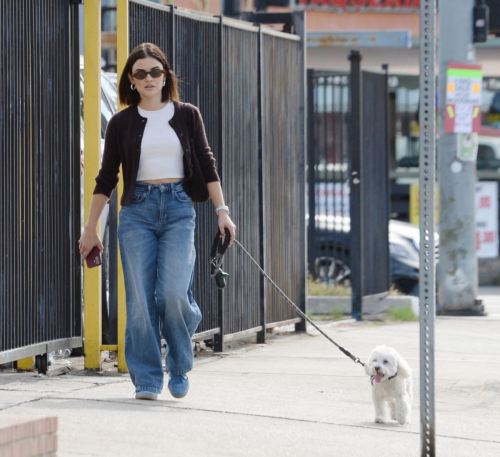 Lucy Hale Strolls with Her Dog in Los Angeles, October 2024 4