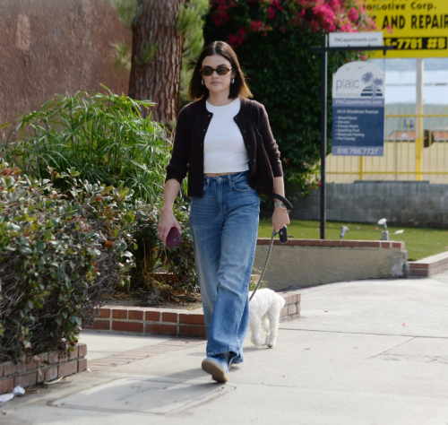 Lucy Hale Strolls with Her Dog in Los Angeles, October 2024 5