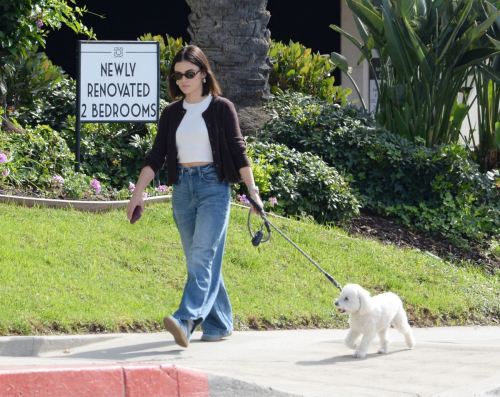 Lucy Hale Strolls with Her Dog in Los Angeles, October 2024 6