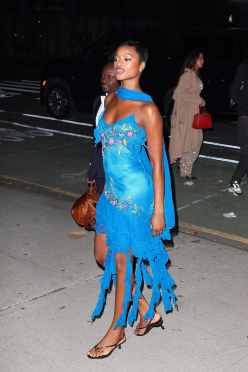 Mayowa at Victoria's Secret Fashion Show After-party in New York, October 2024