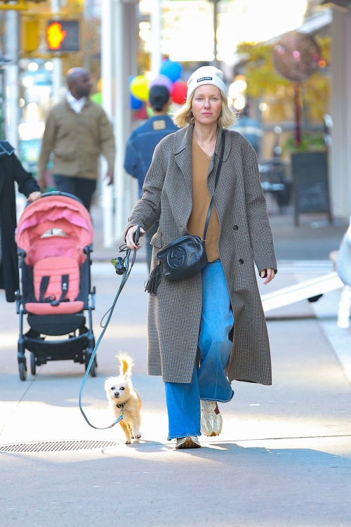 Naomi Watts Out for Dog Walk in New York, October 2024