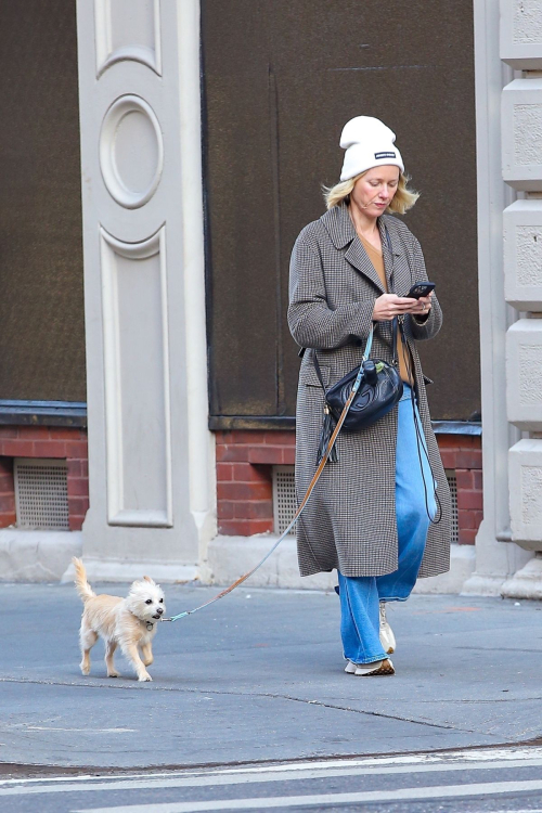 Naomi Watts Out for Dog Walk in New York, October 2024 1