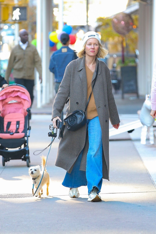 Naomi Watts Out for Dog Walk in New York, October 2024 2