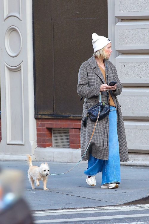 Naomi Watts Out for Dog Walk in New York, October 2024 5