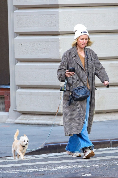 Naomi Watts Out for Dog Walk in New York, October 2024 6