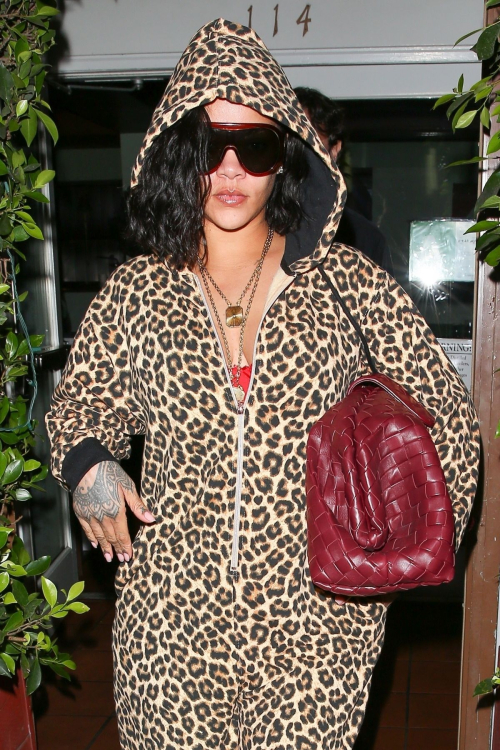 Rihanna in Leopard-Print Jumpsuit at Giorgio Baldi, October 2024 3