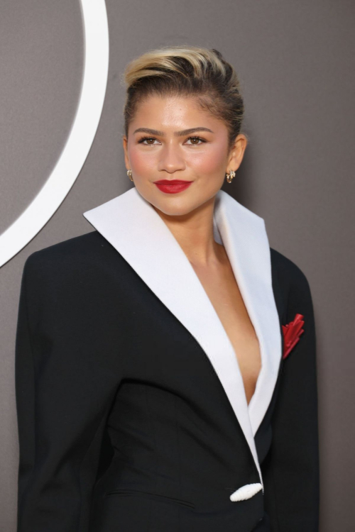 Zendaya at Louis Vuitton SS25 Fashion Show in Paris, October 2024 4