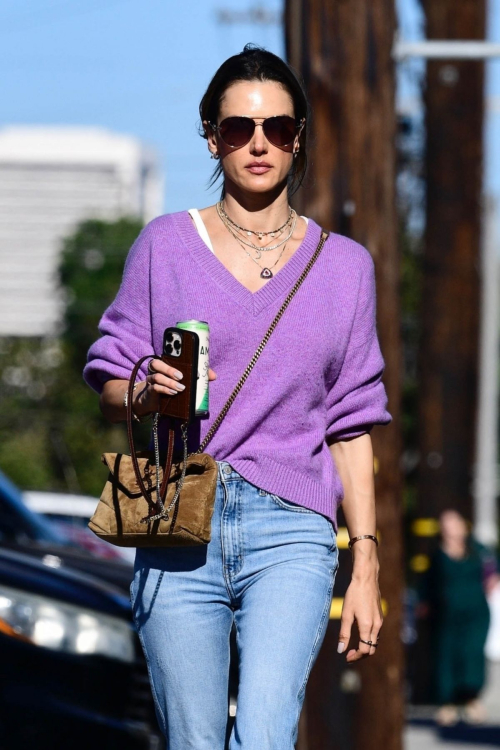 Alessandra Ambrosio Arrives at a School Event in Los Angeles, November 2024 2