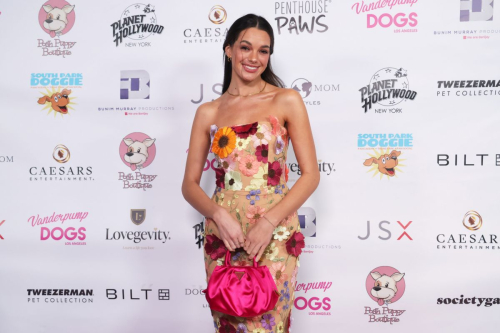 Ally Lewber at Vanderpump Dog Foundation Gala in Los Angeles, November 2024 6