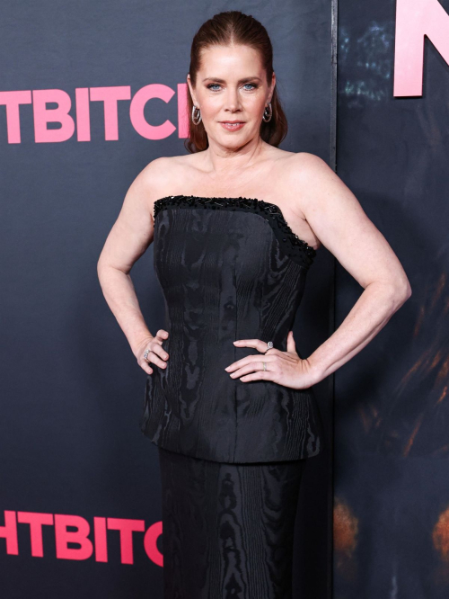 Amy Adams at Nightbitch Premiere in Los Angeles, November 2024 1