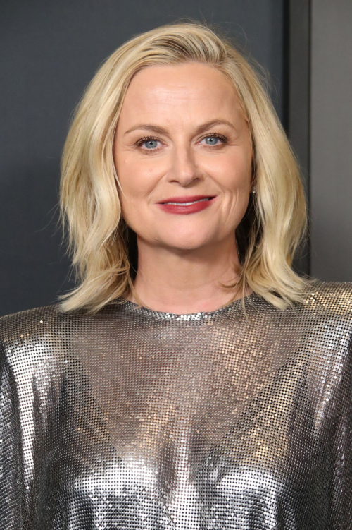 Amy Poehler at Governors Awards in Hollywood, November 2024 4