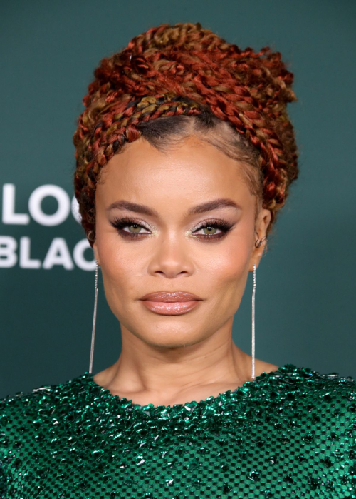 Andra Day at Baby2Baby Gala Los Angeles, November 2024 4