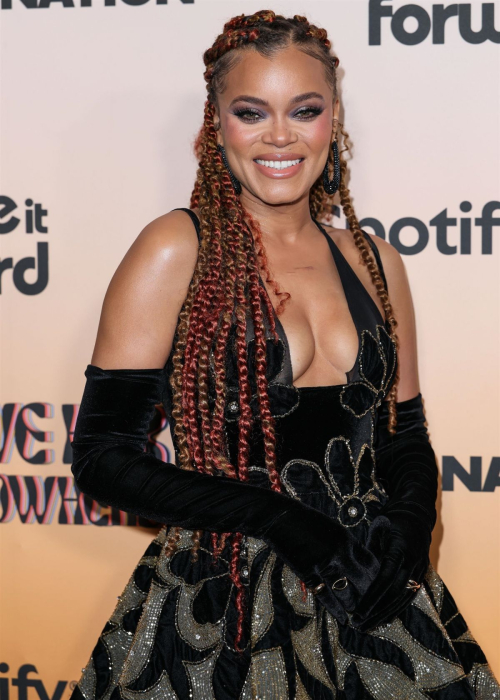 Andra Day at Give Her FlowHERS Awards Gala Los Angeles, November 2024 6